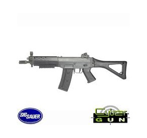 Swiss Arms Sig 552 commando Abs