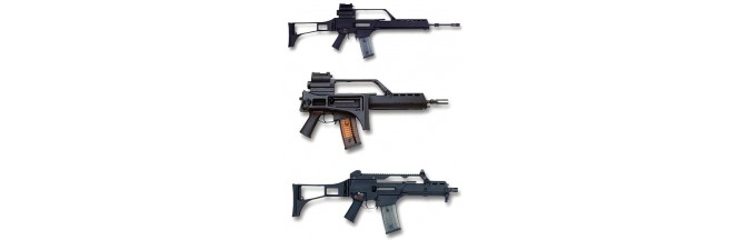 G36